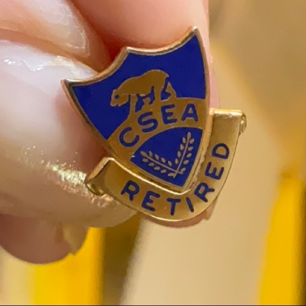 CSEA Retired Lapel Pin Vintage California School Employees Association 1/10 10K